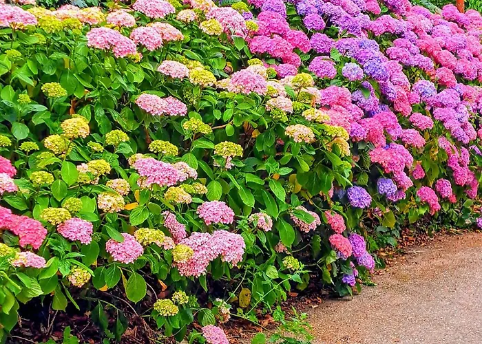 Apartment Le Nid D'orient